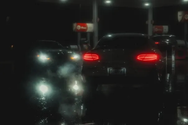 Dove Bingo Casino Android/iOS App